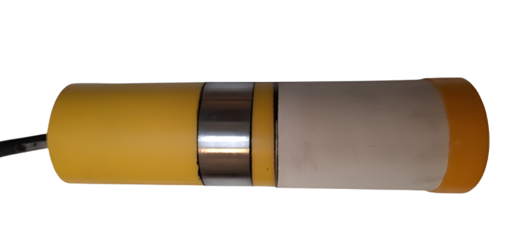 Électrode permanente avec coupon témoin Chassieu